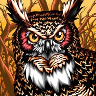 owl