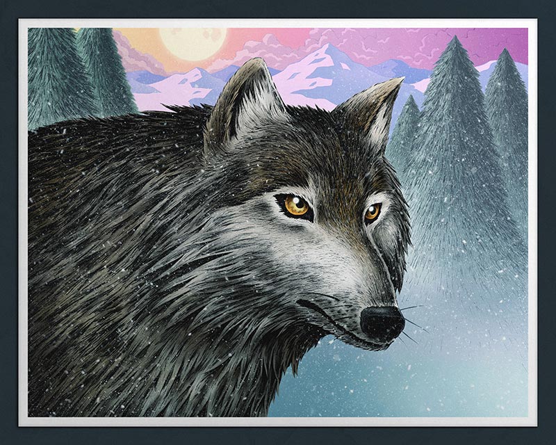“Wolf” Print Nicholas Ivins