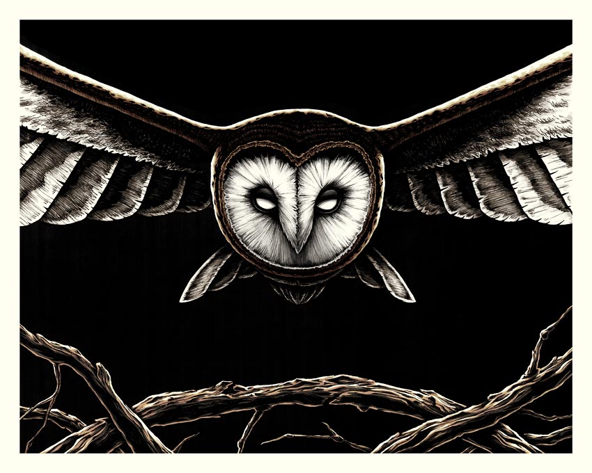 barn owl art print
