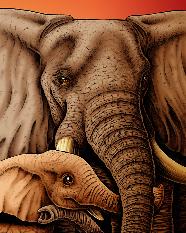 Elephants art print
