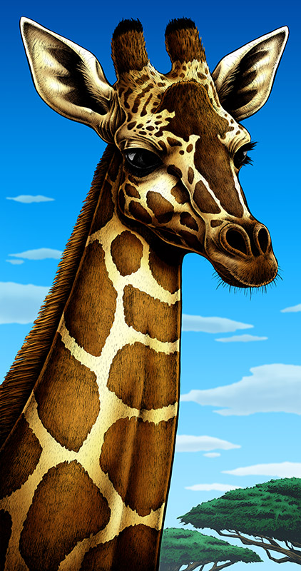Giraffe art print