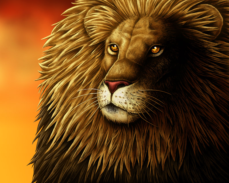Lion art print