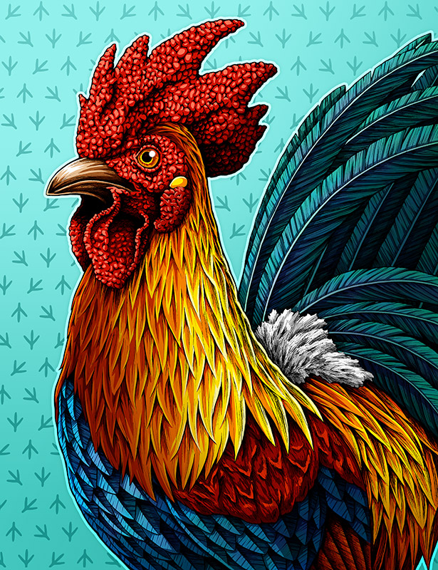 Rooster art print